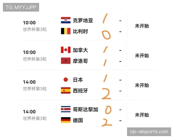 世界杯E组最新晋级概率公布