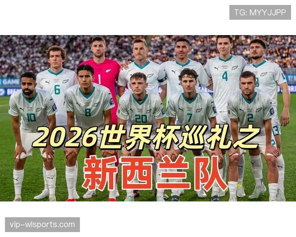 新西兰G组专题深度解读